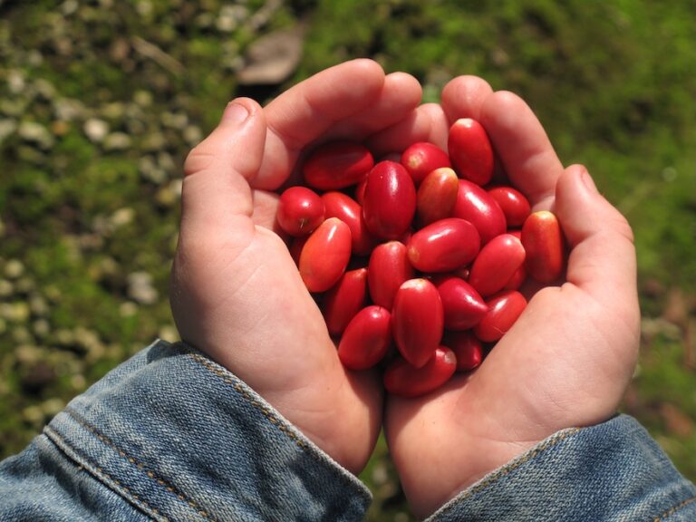 Protein function alters taste