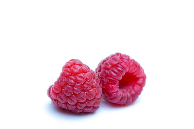raspberries, berries, zarza, bush, forest fruit, polydrupe, red fruit, mature, berry, fresh, healthy, tasty, vitamins, polyphenols, antioxidants, raspberries, polyphenols, polyphenols, polyphenols, polyphenols, polyphenols
