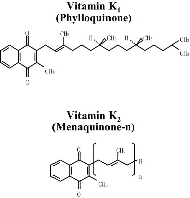 Vitamin K2