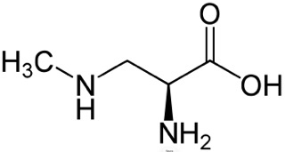 Neurodegenerative Disease (ALS) Etiology hypothesis