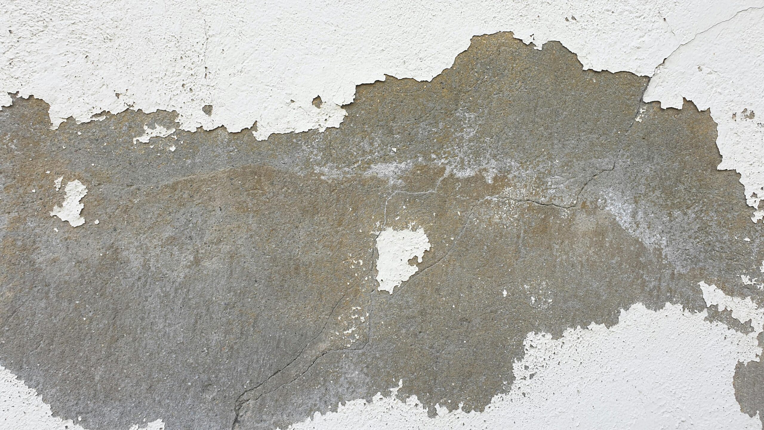 Detailed texture of a weathered and cracked concrete wall surface.
