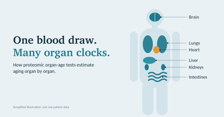 Vero OrganAge: What a Blood Test Can and Cannot Tell You About Your Organs